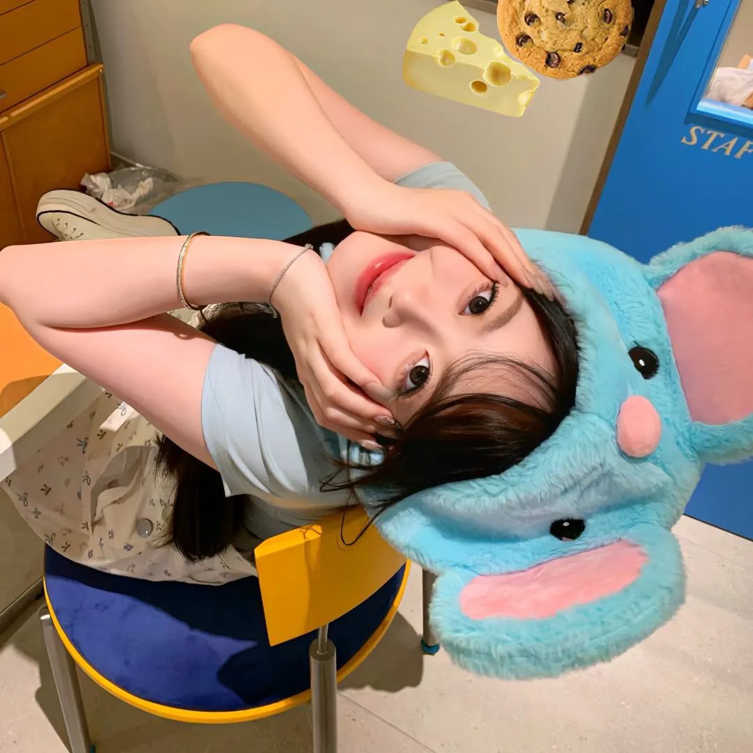 鸡不可失 在线观看